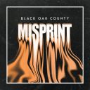 Black Oak County - Misprint (2026) [MP3 320kbps]