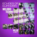 VA - Melodic Techno: Echoes of Euphoria, Vol.09 (2026) [MP3 320kbps]