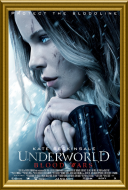 Underworld: Wojny krwi / Underworld: Blood Wars (2016) [PL] [480p] [BDRip] [XviD] [Lektor PL]