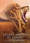 David Attenborough: Tajemniczy swiat dxwiekow / Secret World of Sound with David Attenborough (2024) [Sezon 1] [Lektor &amp; Napisy PL] [MULTi] [1080p] [NF] [WEB-DL] [x264-KiT]