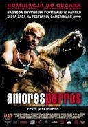 Amores perros (2000) [MULTi 1080p BluRay REMUX AVC DTS-HD MA 5 1-LTS] [h264] [Lektor PL] [mkv] [FIONA9] [#282 TOPFILMYFILMWEB]
