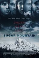 Sugar Mountain (2016) [480p] [BRRip] [XviD] [AC3.SK13] [Lektor PL]