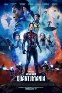 Ant-Man i Osa: Kwantomania / Ant-Man and the Wasp: Quantumania (2023) [h265] [720x304] [Lektor PL] [mkv] [FIONA9]