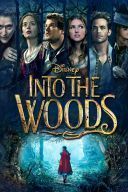 Tajemnice lasu / Into the Woods (2014) [PL BDRip XviD-LTN] [Lektor PL] [avi]  [FIONA9]