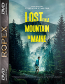 Lost on a Mountain in Maine (2024) [MULTi] [1080p] [BluRay] [x264-RX] [Lektor PL]