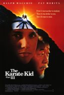 Karate Kid III / The Karate Kid, Part III (1989) [MULTi.1080p.BluRay.x264-DSiTE] [Lektor PL] [mkv]  [FIONA9]