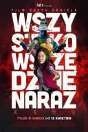 Wszystko wszędzie naraz / Everything Everywhere All at Once (2022) [PL.720p.edition-BluRay.H265.DarK] [Lektor PL] [mkv] [FIONA9]
