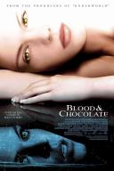Krew jak czekolada  / Blood and Chocolate (2007) [XVID] [1280x542] [Lektor PL] [avi]  [FIONA9]