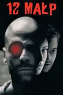 12 Malp / Twelve Monkeys (1995) [MULTi] [1080p] [BluRay] [REMUX] [AVC] [DTS-HD] [MA 5 1-LTS] [Lektor i Napisy PL]