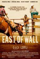 Na wschód od Wall / East of Wall (2025) [PL.WEB-DL.XviD-OzW] [Lektor PL] [avi]  [FIONA9]