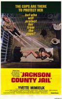 Koszmar w Jackson County / Jackson County Jail (1976) [PL.DVDRip.XviD-NN] [Lektor PL] [avi]  [FIONA9]