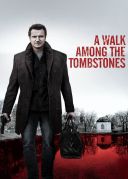 Kroczac wsrod cieni / A Walk Among the Tombstones (2014) [DVDRip PL M56] [H264] [576p] [Lektor PL] [avi] [FIONA9]