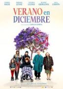 Lato w grudniu / Verano En Diciembre (2024) [MULTi.1080p.HMAX.WEB-DL.x264-KiT] [Lektor PL] [mkv]  [FIONA9]