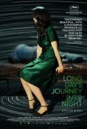 Dluga podroz dnia ku nocy / Long Day\'s Journey Into Night (2018) [BRRip] [XviD-OzW] [Lektor PL] [avi] [FIONA9]