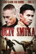 Oczy smoka / Dragon Eyes (2012) [MULTi.1080p.BluRay.x264.DTS.AC3-LLO] [Lektor PL] [mkv]  [FIONA9]