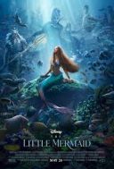 Mała syrenka / The Little Mermaid (2023) [MULTi.1080p.BluRay.x264.AC3.DDP7.1-DENDA] [Dubbing  PL] [mkv]  [FIONA9]