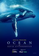 David Attenborough: Świat oceanów / Ocean with David Attenborough (2025) [MULTi.1080p.DSNP.WEB-DL.H264-DSiTE] [Lektor PL] [mkv]  [FIONA9]