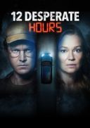 12 godzin strachu / 12 Desperate Hours (2023) [PL 720p WEB-DL XviD AC3-OzW] [Lektor PL] [avi]  [FIONA9]