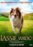 Lassie, wroc! / Lassie - Eine abenteuerliche Reise (2020) [720p] [BDRip] [XviD] [AC3-ELiTE] [Dubbing PL]