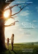 Cuda z nieba / Miracles from Heaven (2016) [PL.1080p.WEB-DL.H264] [Lektor PL] [mkv]  [FIONA9]
