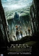 Wiezien labiryntu / The Maze Runner (2014) [720p] [BDRip] [XviD] [AC3-ELiTE] [Lektor PL]