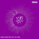 VA - Redux Selection, Vol. 3 2026 [mp3@ 320kbps] [WOOKIE] [ToAlien]