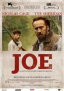 Joe (2013) [720p] [BDRip] [XviD] [AC3-ELiTE] [Lektor PL]