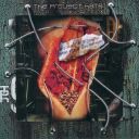 THE PROJECT HATE MCMXCIX When We Are Done Your Flesh Will Be Ours 2001 Massacre MAS 0284 CD FLAC (image+.cue), lossless
