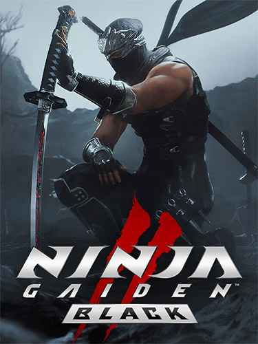 NINJA GAIDEN 2, wersja 1.0.5.0  [MULTI-ENG] [EXE]