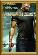 W pogoni za zemstą / Faster (2010) [PL] [DVDRiP] [XviD] [Lektor PL]