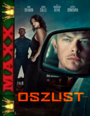 Oszust / Wardriver (2026) PL.1080p.AMZN.WEB-DL.XviD.AC3-MAXX / Lektor PL