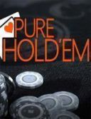 Pure Holdem *2015* [ENG] [EXE]