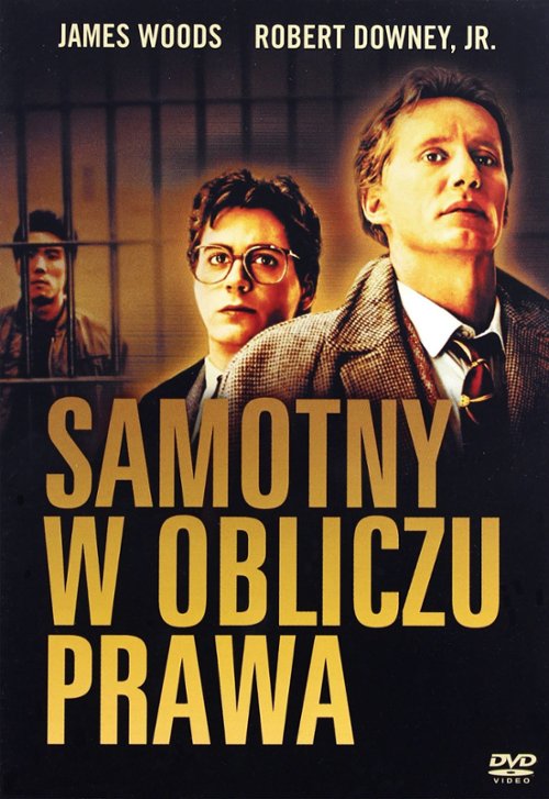 Samotny w obliczu prawa / True Believer (1989) [DVDRip] [XviD] [AC3] [Lektor PL]
