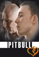 Kolekcja Pitbull 2005-2021 [10Bit SDR UPSCALING] [2160p BluRay H265 AC3 5 1-AS76-FT] [Film PL] [Alusia]