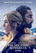 Pomiedzy nami gory - The Mountain Between Us (2017) [720p] [BRRip] [XViD] [AC3-OzW] [Lektor PL]