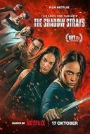 Bledny cien / The Shadow Strays (2024) [720p] [WEB-DL] [XviD] [DD5.1-K83] [Lektor PL]