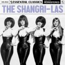 The Shangri–Las - Essential Classics Vol. 534 The Shangri-las (2024) [Flac]