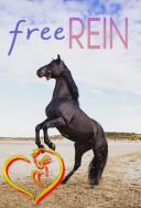 Życie w cuglach - Free Rein *2017-2019* [S01-03+Film] [1080p.WEB-DL.H264-FT] [ENG-Lektor PL] [Alusia]