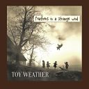 Toy Weather (Norway)  - Feathers In A Strange Wind (2025) [24bit-48kHz] [FLAC] [t0deusz]