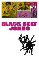 Czarny pas/Black Belt Jones (1974) [1080p] [BRRp] [H264] [AC3-d11] [Lektor PL] [r.d11] [ToAlien]