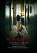 W pulapce / In the Trap (2019) [WEB-DL] [XViD-OzW] [Lektor PL] [avi] [fiona9]