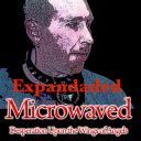 Microwaved (USA) - Desperation Upon the Wings of Angels (Expanded) [FLAC] [24bit-44.1kHz] [t0deusz]