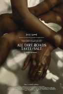 Polne drogi mają smak soli / All Dirt Roads Taste of Salt (2023) [PL.WEB-DL.XviD-GR4PE] [Lektor PL] [avi]  [FIONA9]