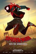 Spider-Man Uniwersum / Spider-Man: Into the Spider-Verse (2018) [MULTi 1080p BluRay x264 DD 5 1-MR] [Lektor PL] [mkv]  [FIONA9]