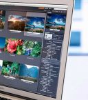 Adobe Bridge 2026 v16.0.1 Build 18 - 64bit [PL] [RePack] [azjatycki]