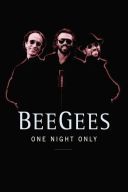 Bee Gees: One Night Only (1998) [WEBRip] [1080p x264] [AAC] [ENG]