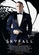 Skyfall (2012) [PL.480p.BDRip.XviD.AC3] [Lektor PL] [avi]  [FIONA9]