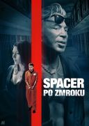 Spacer po zmroku / Night Walk (2019)  [MULTi.1080p.WEB-DL.H264-DSiTE] [Lektor PL] [mkv]  [FIONA9]
