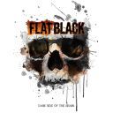 Flat Black (USA) - Dark Side of the Brain (2024) [FLAC] [24bit-48kHz] [t0deusz]