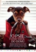 O psie, ktory wrocil do domu / A Dog's Way Home (2019) [BRRip] [XviD] [GR4PE] [Dubbing PL]